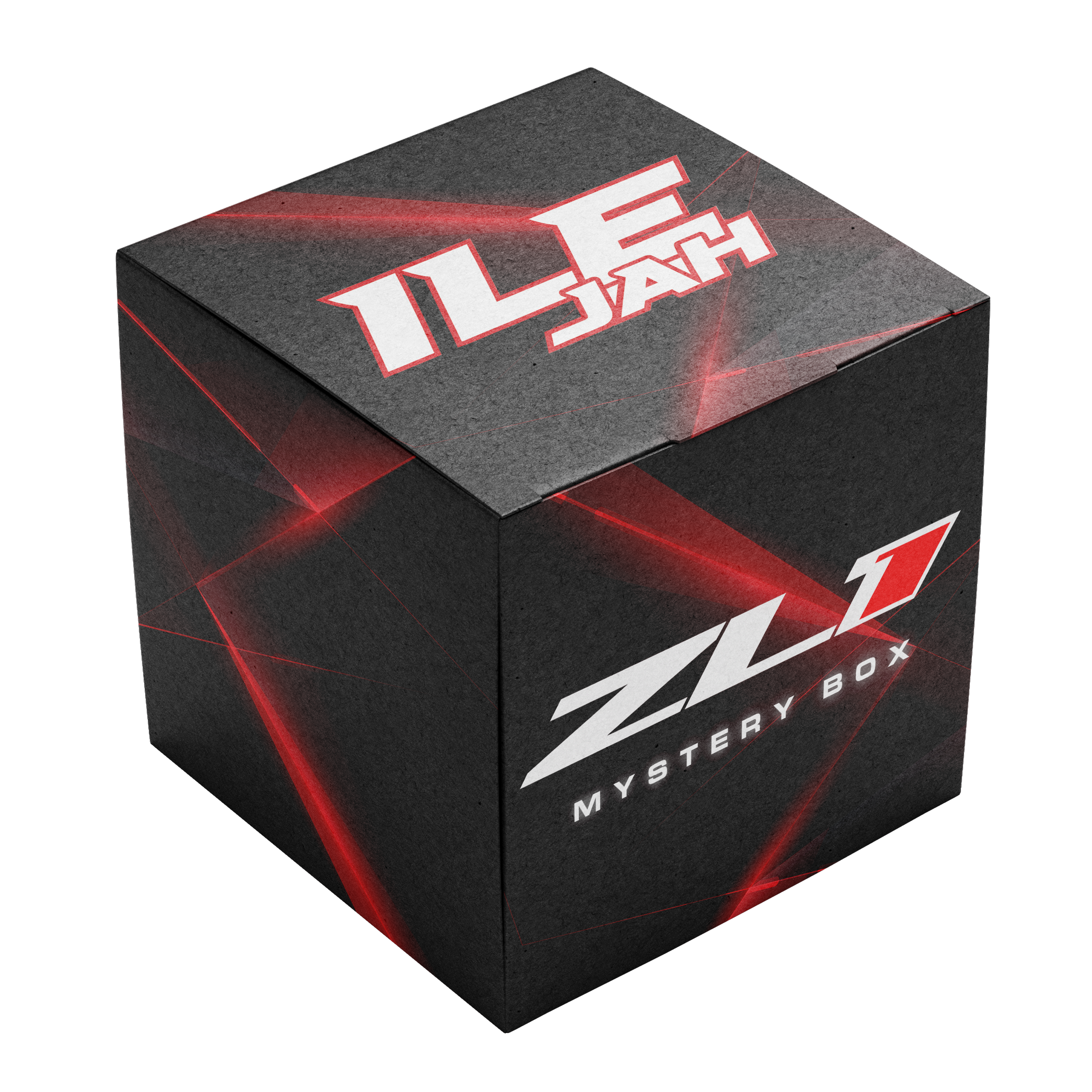 EXCLUSIVE MYSTERY BOX